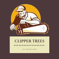 Clipper Tree Service of Orland Park image 1